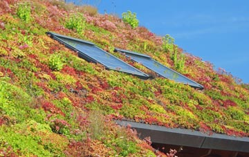 Strath Garve living roof systems